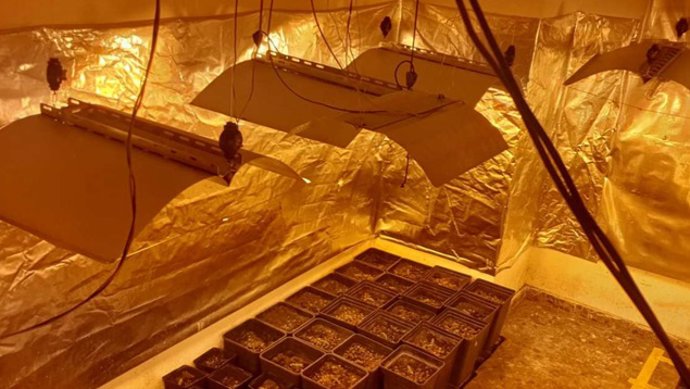 Operación anridroga en Valencia