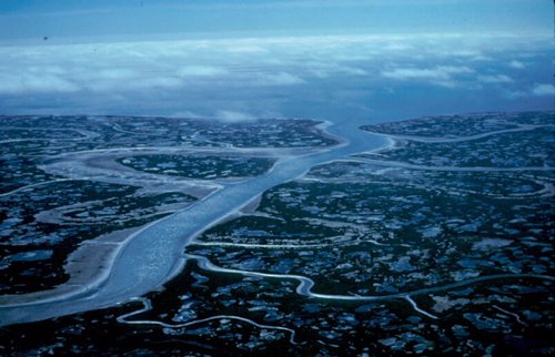 Delta del río Yukón