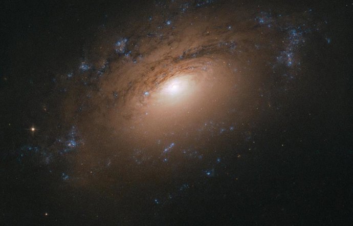 Galaxia NGC 3169