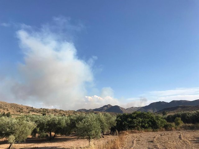 Incendio forestal de Hellín (Albacete).