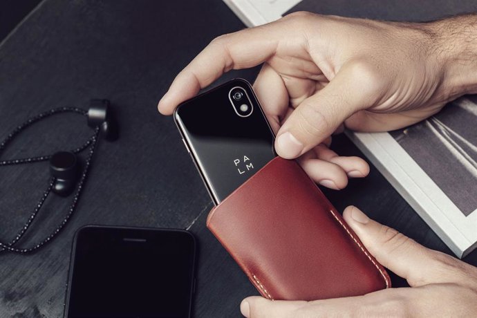 Smartphone Palm