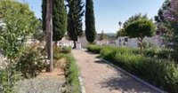 Comienzan los trabajos de localización de la fosa 'Las Mujeres de Zufre' en el cementerio de Higuera (Huelva)