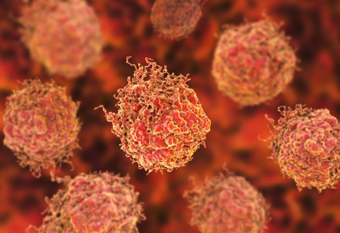 Células en el cáncer de próstata