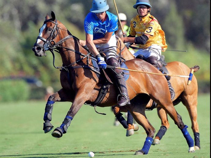 Fwd: Np Jornada Copa Bronce Mediano (48 Torneo Int Polo)