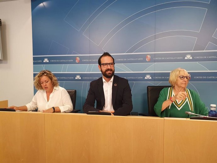 Rueda de prensa para pedir la comparecencia de la Consejera de Sanidad, Verónica Casado, por parte del Grupo Parlamentario Socialista.