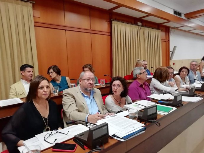 El edil del PSOE Manuel Torralbo, junto a la portavoz socialista y exalcaldesa de Córdoba, Isabel Ambrosio (izda.) en un Pleno municipal.