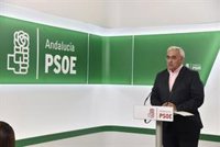 PSOE-A acusa al Gobierno andaluz "de inacción, propaganda e inestabilidad" y al PP-A de ser "árbitro entre Cs y Vox"