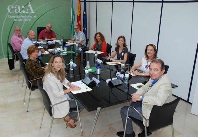 Imagen de la reunión del plenario del Consejo Audiovisual de Andalucía.