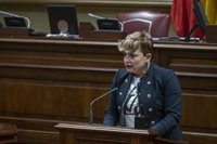 Alemán (PSOE) cree que Clavijo busca "cobijo" en el Senado para estar aforado