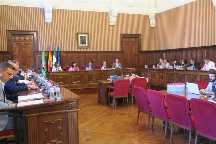 Pleno de la Diputación de Jaén