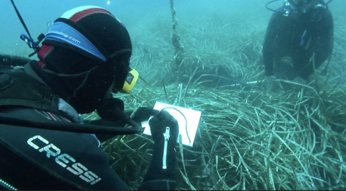 Dos buzos analizan el estado de las posidonias en el litoral de Xbia y Benitatxell.