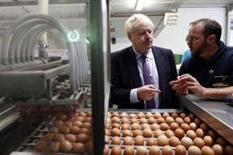 R.Unido.- Boris Johnson viaja a Irlanda del Norte con el objetivo de poner fin a