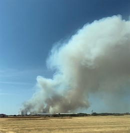 Incendio forestal originado el 30 de julio en el término municipal de Barchín del Hoyo (Cuenca)