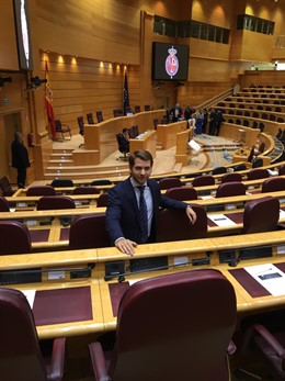 El portavoz del PP en la Comisión de Entidades Locales del Senado y alcalde de Cabra (Córdoba), Fernando Priego.