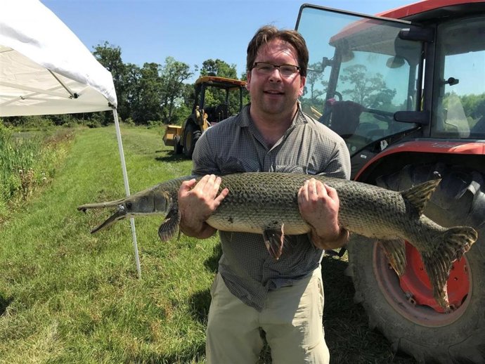 El gar, un pez dentudo y de agua dulce, podría revelar ciertos secretos evolutivos