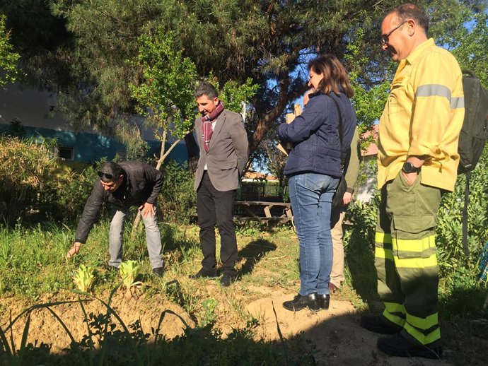 Huelva.- La Junta otorga autorización ambiental a regantes del Andévalo para tra