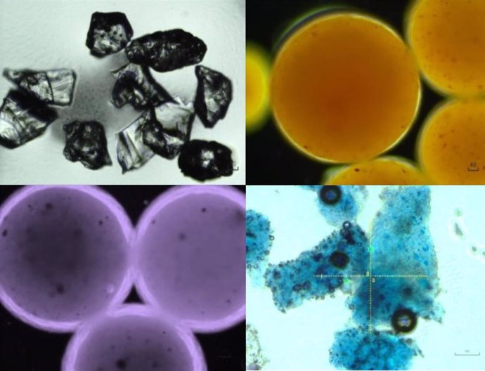 Esta imagen muestra restos de microplásticos en cosméticos bajo microscopía óptica