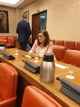 La diputada de CC en el Congreso de los Diputados, Guadalupe González Taño