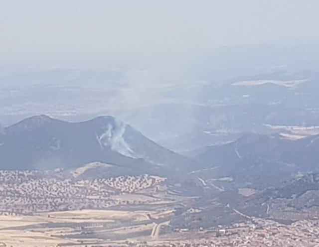 Incendio forestal en Zarza Capilla