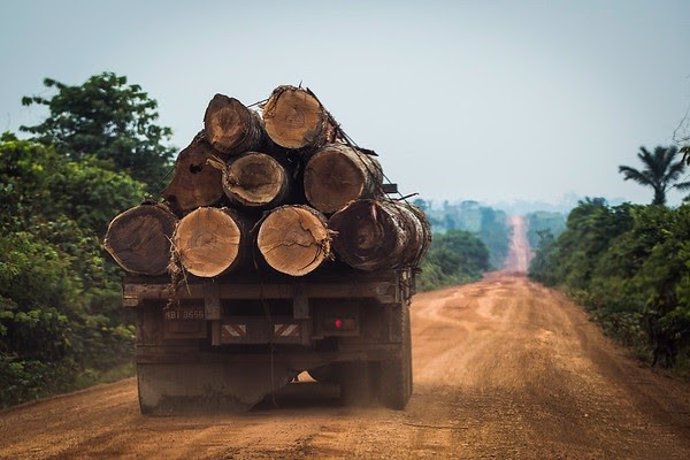 La deforestación en Brasil crece un 40% y las políticas de Bolsonaro están destr