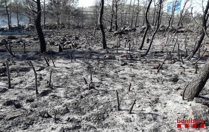 Incendio de Vandells i l'Hospitalet de l'Infant