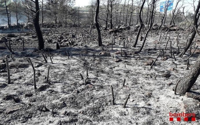 Incendi de Vandells i l'Hospitalet de l'Infant