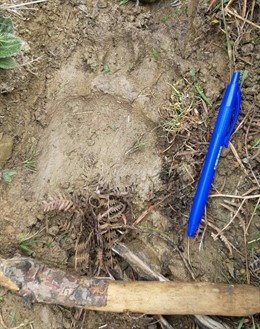 UAGN se manifestará el 22 de agosto en Aínsa (Huesca) para exigir la retirada de