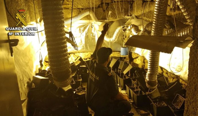 Localizan un cultivo de marihuana en una vivienda de Gondomar (Pontevedra)