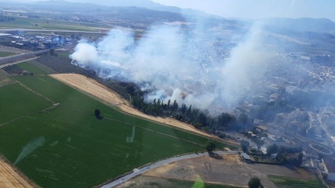 Incendio de Pinos Puente