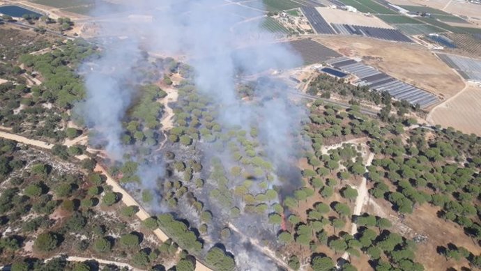 Incendio forestal en el paraje Pino de la Cruz (Lucena del Puerto)