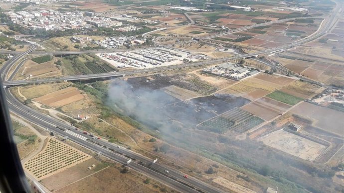 Incendio de vegetación en Torrent