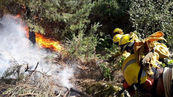 Operarios, en el incendio de La Granja.