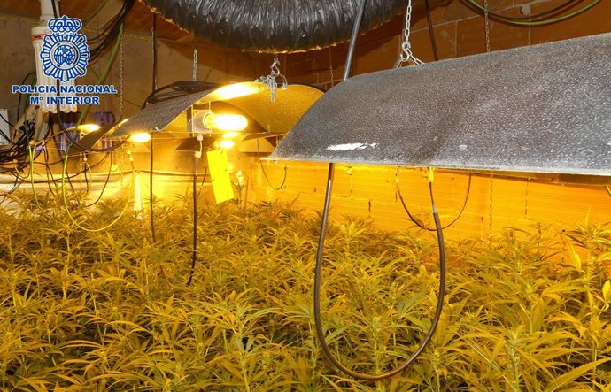 Vídeo de la noticia