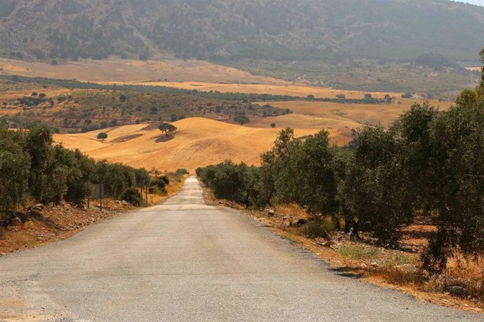 Carretera de la provincia de Málaga que se remodelará