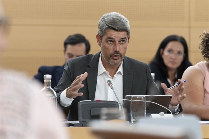 Alberto Bernabé, consejero de Coalición Canaria-Partido Nacionalista Canario (CC-PNC) en el Cabildo de Tenerife