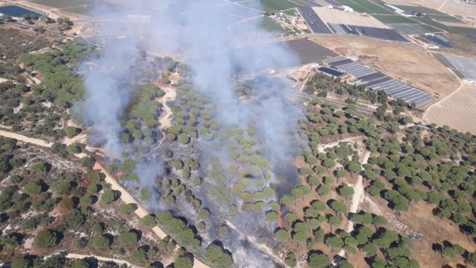 Incendio forestal en el paraje Pino de la Cruz (Lucena del Puerto)