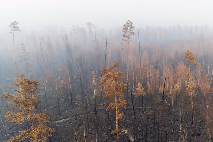 Los incendios en Siberia arrasan 4,3 millones de hectáreas y emiten 166 millones
