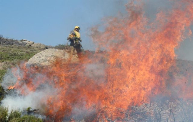 Imagen de un bombero que trata de apagar llamas en los incendios forestales de Miraflores y La Granja (Segovia).