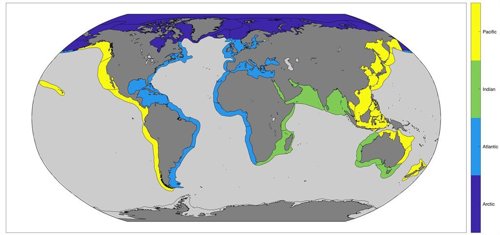 Áreas En Las Que Se Dividió El Estudio