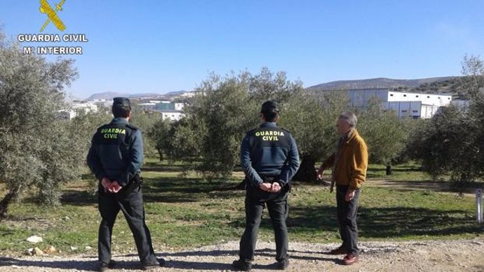 Efectivos de la Guardia Civil observando olivos