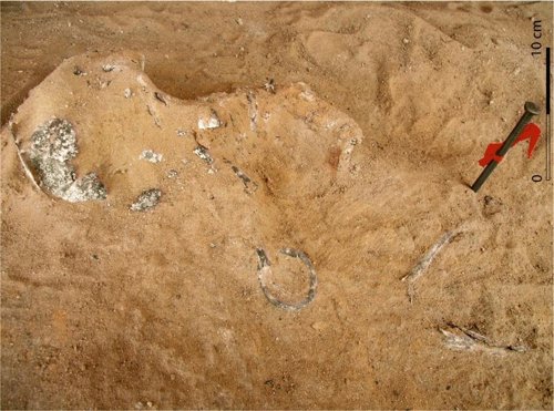 Restos humanos localizados en el enterramiento infantil de Gebel Ramlah