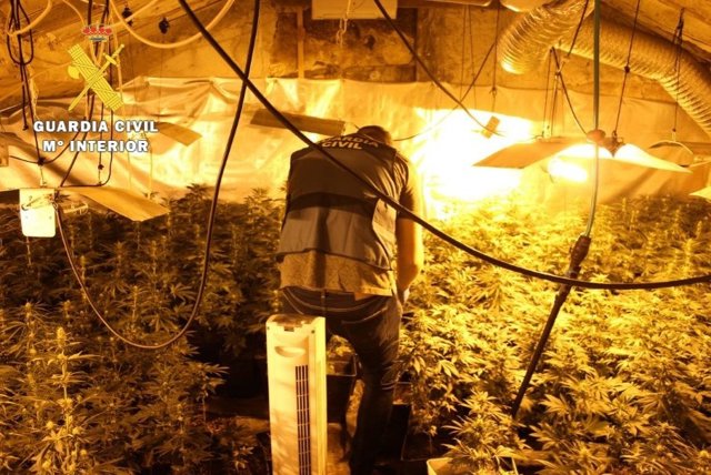 Desmantelado un laboratorio 'indoor' de cultivo de marihuana en un pueblo del alfoz de Burgos.