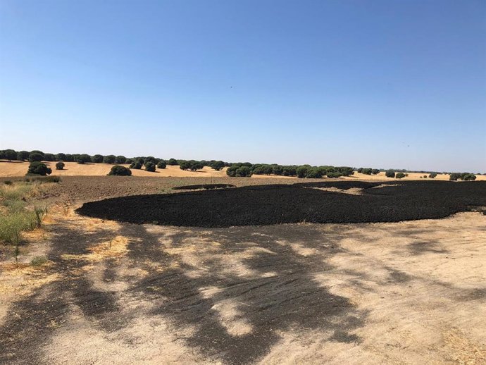 Brunete lleva ante el Seprona a una empresa por realizar vertidos ilegales en una finca cercana a la localidad y provocar malos olores