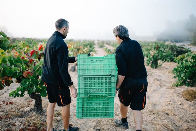 La propuesta invita a vivir la vendimia en familia