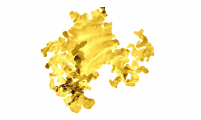 La imagen muestra una nanocapa de oro que tiene solo dos átomos de espesor. Ha sido coloreado artificialmente.