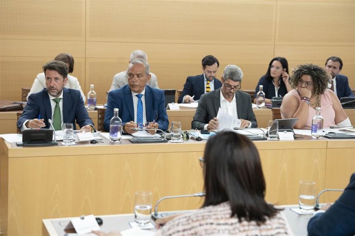 Grupo de Coalición Canaria-Partido Nacionalista Canario (CC-PNC) en una sesión plenaria del Cabildo de Tenerife