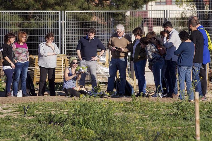 Fundación Montemadrid y Bankia impulsan la cesión de huertos urbanos a entidades sociales
