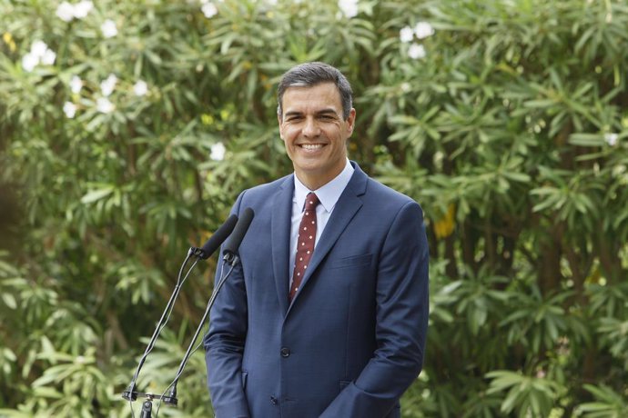 El president del Govern en funcions, Pedro Sánchez, ofereix declaracions  al Palau de Marivent a Palma de Mallorca després de la reunió amb el Rei Felipe VI.