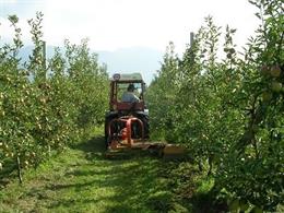 Agro.- La Generalitat destina 1,8 millones a mitigar el cambio climático en el c