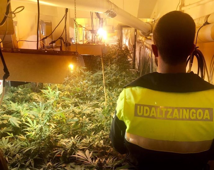 Cierre en Bilbao de asociación pro cannabis por tráfico de droga.